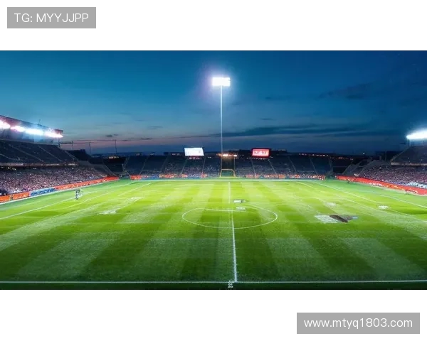 从绿茵场到荣耀巅峰探秘足球激情与团队精神的永恒魅力