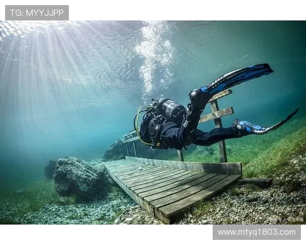 从惊险一跃到完美入水探秘跳水运动背后的力量与艺术