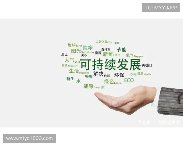 福建浔兴股份持续创新驱动推动行业升级与可持续发展战略探索 福建浔兴股份持续创新驱动推动行业升级与可持续发展战略探索