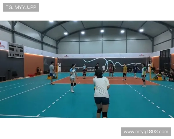 杭州排球队的精神风貌与团队意识探讨及其对排球运动的影响