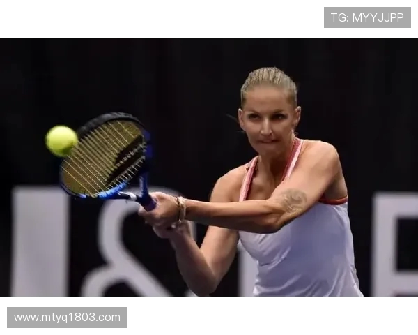 深圳羽毛球队大满贯赛季回顾节奏表现分析与未来展望