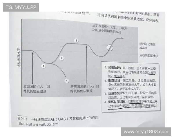 全面提升运动表现的科学训练方法与技巧解析