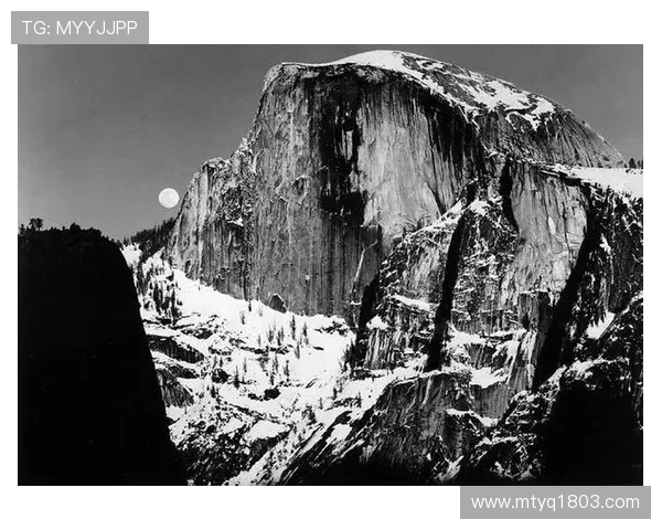 亚当斯的传奇人生与影响力探讨：从个人成就到社会变革的深远意义